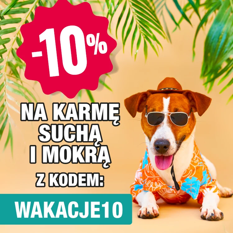 wakacje_2026_mobile