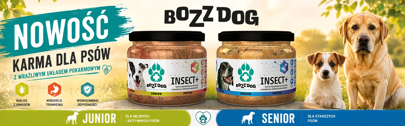 BozzDog_junior_senior_baner_320x100_glowny